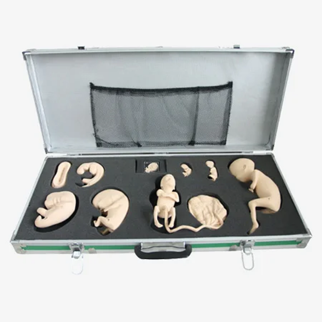 Clinical skill training models for lumbar puncture suturing IO infusion and procedures