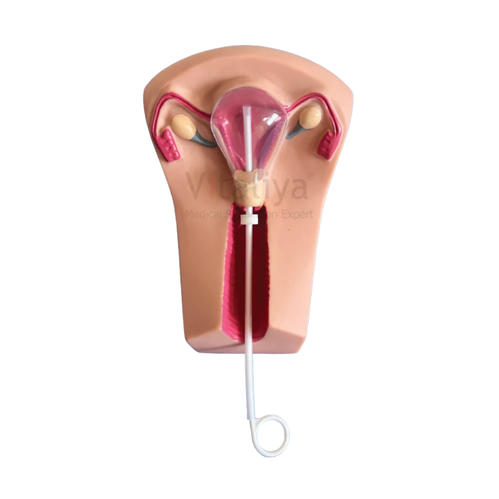 Clinical skill training models for lumbar puncture suturing IO infusion and procedures